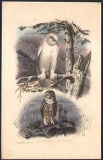 1853 gravure aquarellée d'occasion  Besançon