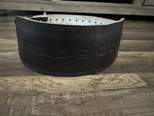 Gold gym weight for sale  Riverview