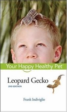 Leopard gecko frank for sale  UK