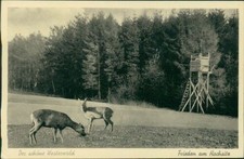 Ansichtskarte schöne westerwa gebraucht kaufen  Eggenstein-Leopoldshafen