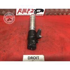 Pied fourche droit d'occasion  France