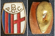 Distintivo con piedino usato  Capannori