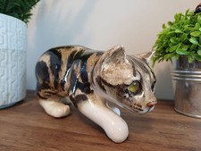 Beautiful winstanley tabby for sale  WELLINGBOROUGH