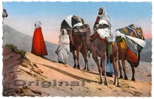 Touaregs tuareg beduinen gebraucht kaufen  Großwallstadt