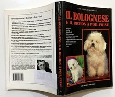 Giannelli bolognese bichon usato  Gioia del Colle