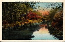 Usado, Cartão postal New York Rockville Centre Long Island Sunny Brook River década de 1920 V108 comprar usado  Enviando para Brazil
