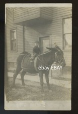 1915 circa. boy for sale  Twin Falls