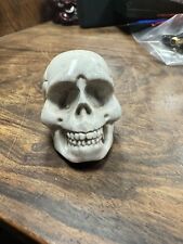 Skull carved cow for sale  BRISTOL