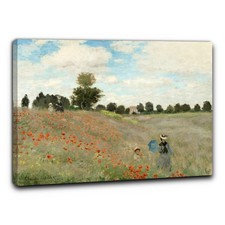 monet quadri usato  Erba