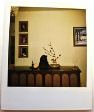 Rádio de mesa vintage encontrado Polaroid anos 80 galho de gato preto arte emoldurada cogumelos comprar usado  Enviando para Brazil