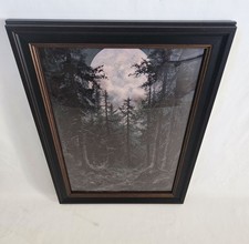 Dunkler wald gothic gebraucht kaufen  Fruerlund,-Engelsby, Tastrup