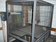 Ferret nation 182 for sale  Winter Haven