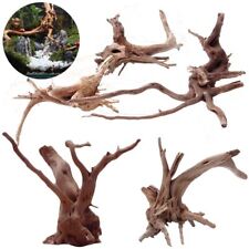 Rhododendron root dead for sale  Shipping to Ireland