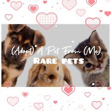 Adopt today rare d'occasion  Expédié en Belgium