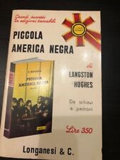 Piccola america negra usato  Cirie