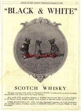 Anuncio BUCHANAN'S Whisky Blanco y Negro 1923 Scottish Terriers Anuncio Impreso 725/13 segunda mano  Embacar hacia Argentina