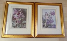 Flower fairies framed for sale  NORWICH