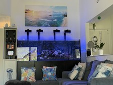 Reef tank accessories for sale  Saint Petersburg