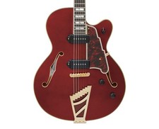 Angelico excel hollow for sale  Winchester