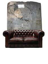 Amazing dark chestnut for sale  SUNDERLAND