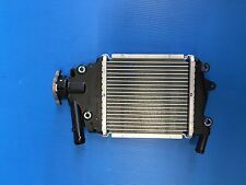 Radiatore acqua radiator usato  Gambettola
