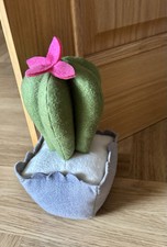 Large cactus door for sale  NOTTINGHAM