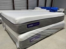 Purple premier hybrid for sale  USA