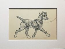 Mongrel puppy dog for sale  NORWICH