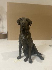 Golden retriever dog for sale  GLASGOW