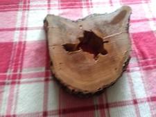 Cat head elm for sale  Arpin