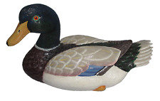 Male mallard bird for sale  CHIPPENHAM