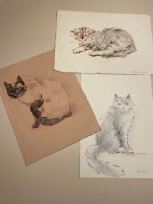 Gatti cats disegni usato  Roma