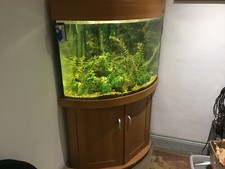 Tropical fish tank for sale  DEAL