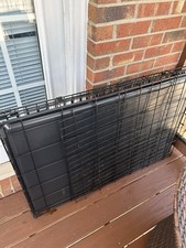 Extra large dog for sale  Clarksville