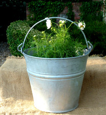 Galvanised bucket planter for sale  BRIDGNORTH