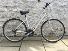 Superb giant liv for sale  PENZANCE