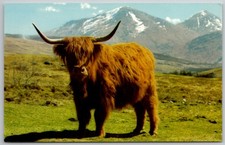 Monarch glen scottish for sale  Montgomery