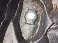 Plastic fish pond for sale  NEWTON ABBOT