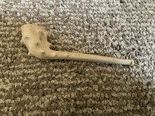 Old clay pipe for sale  SOUTHAMPTON