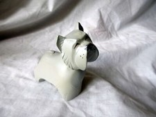 westie dog for sale westie dog for sale STIRLING