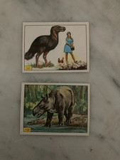 Animaux préhistorique panini d'occasion  Châteauneuf-du-Pape