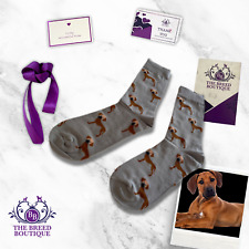 Rhodesian ridgeback socks usato  Spedire a Italy