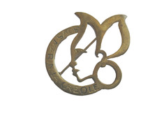 Rare ancien insigne d'occasion  Saint-Mamert-du-Gard