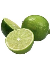 Key lime tree for sale  Madison