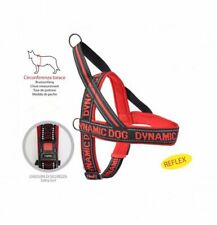 Camon pettorina dynamic usato  Milano