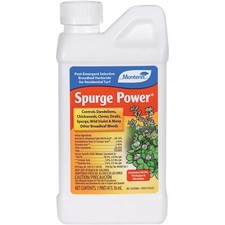 Monterey spurge power for sale  Lititz