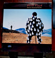 Pink floyd delicate usato Pink floyd delicate usato  Lacchiarella