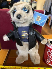 Vassily meerkat compare for sale  BLACKPOOL