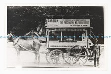 C029318 horse carriage. for sale  WARLINGHAM