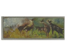 Quadro olio con usato  Torino